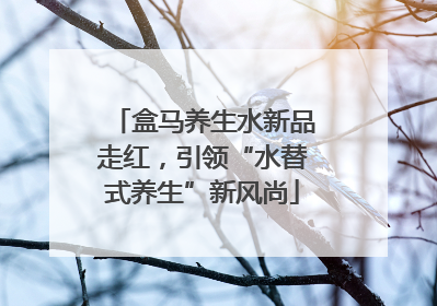 盒马养生水新品走红，引领“水替式养生”新风尚
