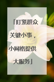盯紧群众关键小事，小网格提供大服务