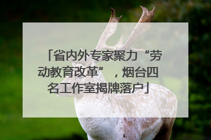 省内外专家聚力“劳动教育改革”，烟台四名工作室揭牌落户