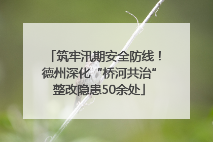 筑牢汛期安全防线！德州深化“桥河共治”整改隐患50余处