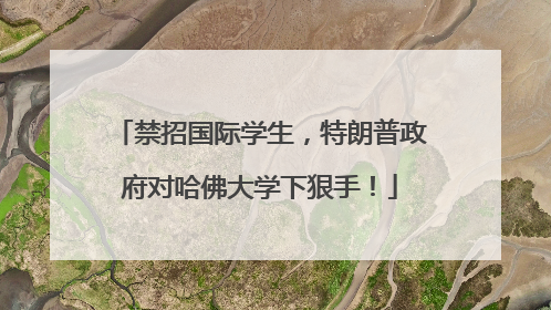 禁招国际学生，特朗普政府对哈佛大学下狠手！