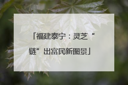 福建泰宁：灵芝“链”出富民新图景