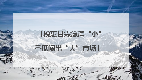税惠甘霖滋润“小”香瓜闯出“大”市场