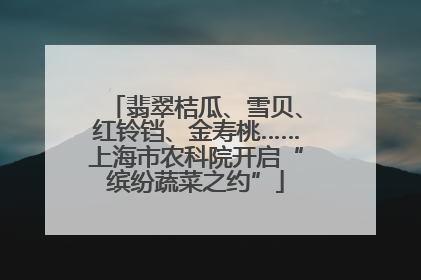翡翠桔瓜、雪贝、红铃铛、金寿桃……上海市农科院开启“缤纷蔬菜之约”