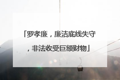 罗孝廉，廉洁底线失守，非法收受巨额财物