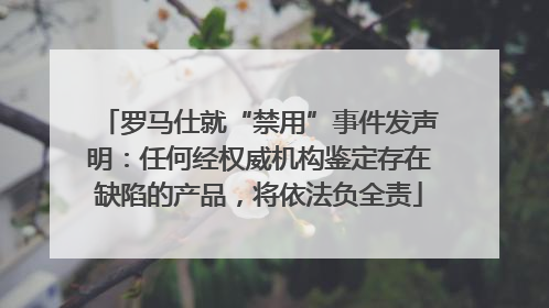 罗马仕就“禁用”事件发声明：任何经权威机构鉴定存在缺陷的产品，将依法负全责