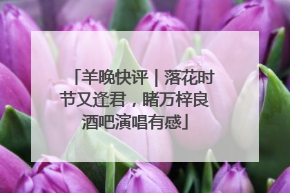 羊晚快评｜落花时节又逢君，睹万梓良酒吧演唱有感