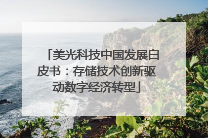 美光科技中国发展白皮书：存储技术创新驱动数字经济转型