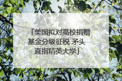 美国拟对高校捐赠基金分级征税 矛头直指精英大学