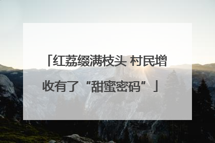 红荔缀满枝头 村民增收有了“甜蜜密码”