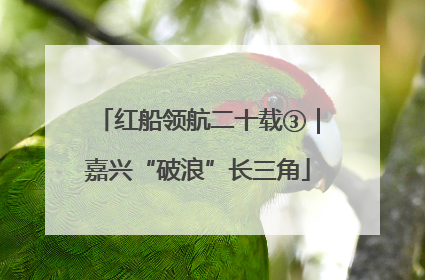 红船领航二十载③｜嘉兴“破浪”长三角