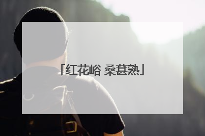 红花峪 桑葚熟
