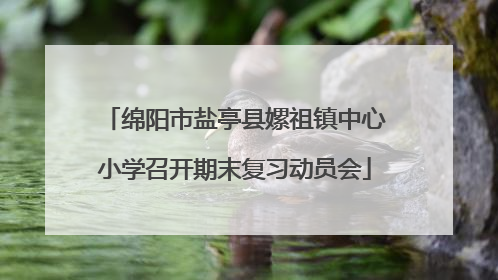 绵阳市盐亭县嫘祖镇中心小学召开期末复习动员会