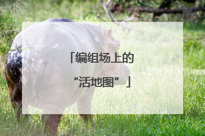 编组场上的“活地图”