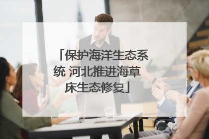 保护海洋生态系统 河北推进海草床生态修复