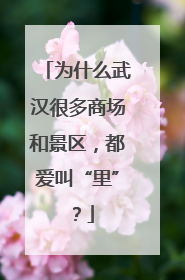 为什么武汉很多商场和景区，都爱叫“里”？