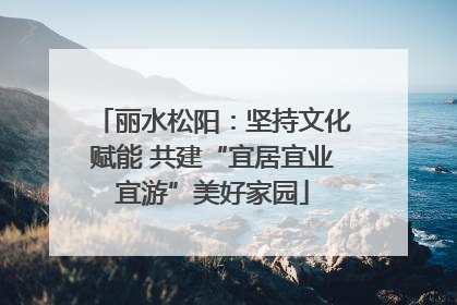 丽水松阳：坚持文化赋能 共建“宜居宜业宜游”美好家园