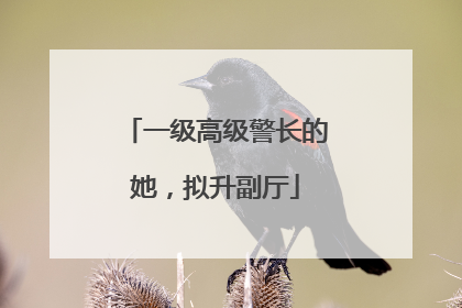 一级高级警长的她，拟升副厅