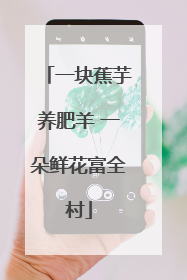 一块蕉芋养肥羊 一朵鲜花富全村