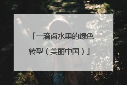 一滴卤水里的绿色转型（美丽中国）