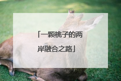 一颗桃子的两岸融合之路
