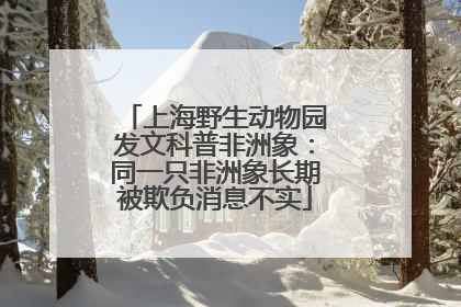 上海野生动物园发文科普非洲象：同一只非洲象长期被欺负消息不实