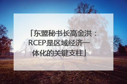 东盟秘书长高金洪：RCEP是区域经济一体化的关键支柱