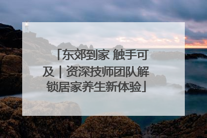 东郊到家 触手可及｜资深技师团队解锁居家养生新体验