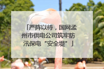 严阵以待，国网孟州市供电公司筑牢防汛保电“安全堤”