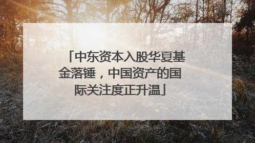 中东资本入股华夏基金落锤，中国资产的国际关注度正升温