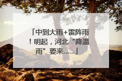 中到大雨+雷阵雨！明起，河北“降温雨”要来……