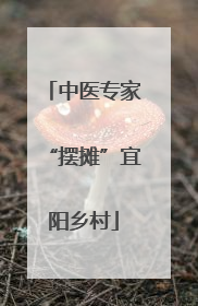 中医专家“摆摊”宜阳乡村