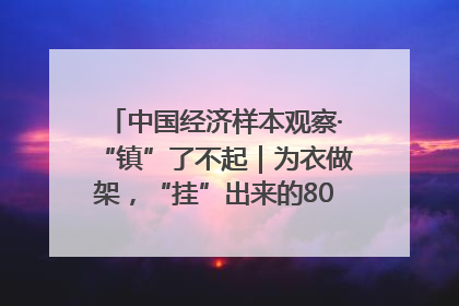 中国经济样本观察·“镇”了不起｜为衣做架，“挂”出来的80亿元“衣架产业”