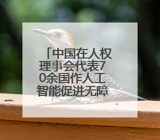 中国在人权理事会代表70余国作人工智能促进无障碍建设共同发言