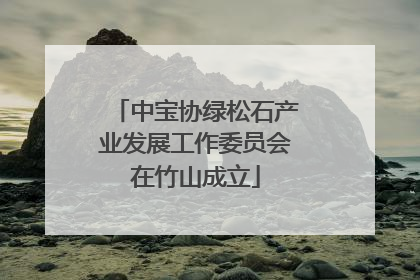中宝协绿松石产业发展工作委员会在竹山成立