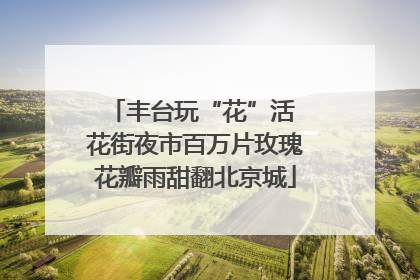 丰台玩“花”活 花街夜市百万片玫瑰花瓣雨甜翻北京城