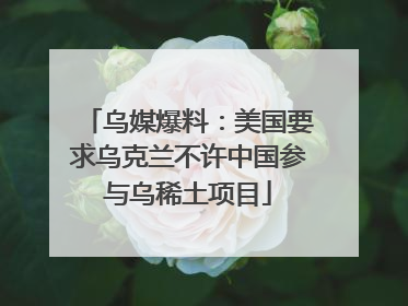 乌媒爆料：美国要求乌克兰不许中国参与乌稀土项目