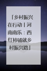 乡村振兴在行动丨河南南乐：西红柿铺就乡村振兴路