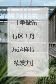 争做先行区！丹东这样持续发力