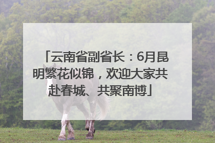 云南省副省长：6月昆明繁花似锦，欢迎大家共赴春城、共聚南博