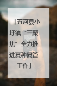 五河县小圩镇“三聚焦”全力推进夏种夏管工作