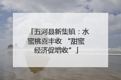 五河县新集镇：水蜜桃喜丰收 “甜蜜经济促增收”