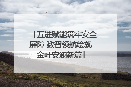 五进赋能筑牢安全屏障 数智领航绘就金叶安澜新篇