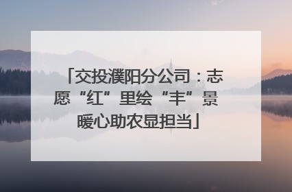 交投濮阳分公司：志愿“红”里绘“丰”景 暖心助农显担当