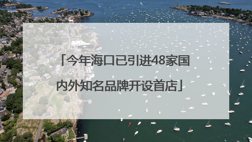 今年海口已引进48家国内外知名品牌开设首店