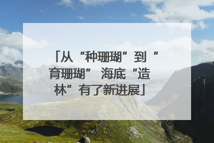 从“种珊瑚”到“育珊瑚” 海底“造林”有了新进展