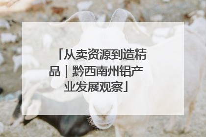 从卖资源到造精品｜黔西南州铝产业发展观察