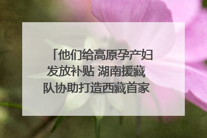 他们给高原孕产妇发放补贴 湖南援藏队协助打造西藏首家高原产儿协同中心