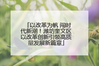 以改革为帆 闯时代新潮！潍坊奎文区以改革创新引领高质量发展新篇章