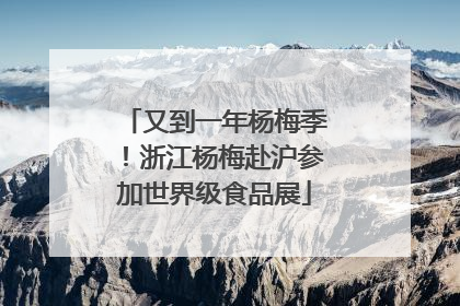 又到一年杨梅季！浙江杨梅赴沪参加世界级食品展